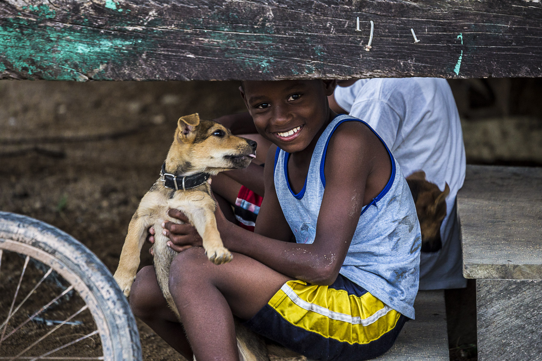 kid dog belize