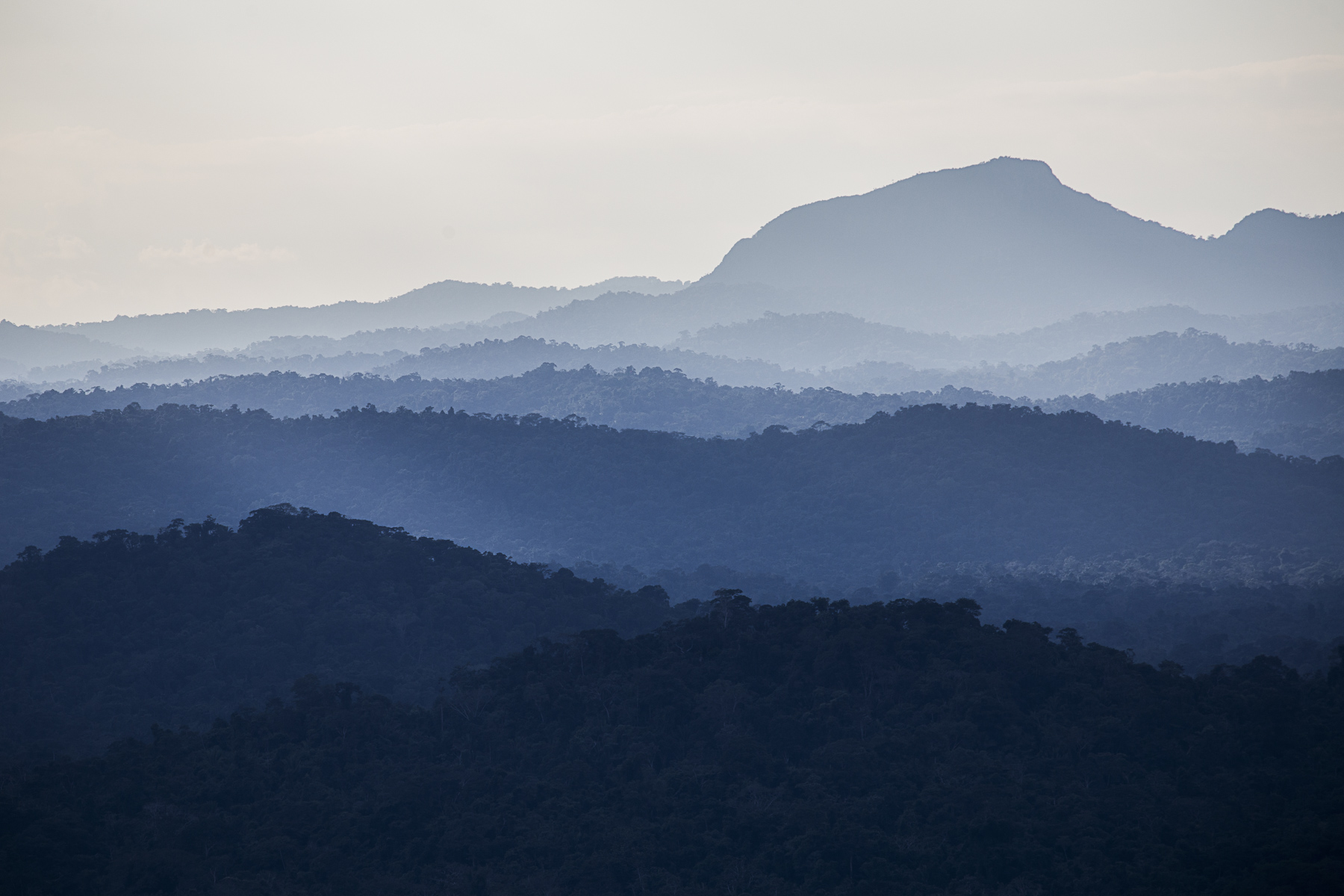 misty morning belize