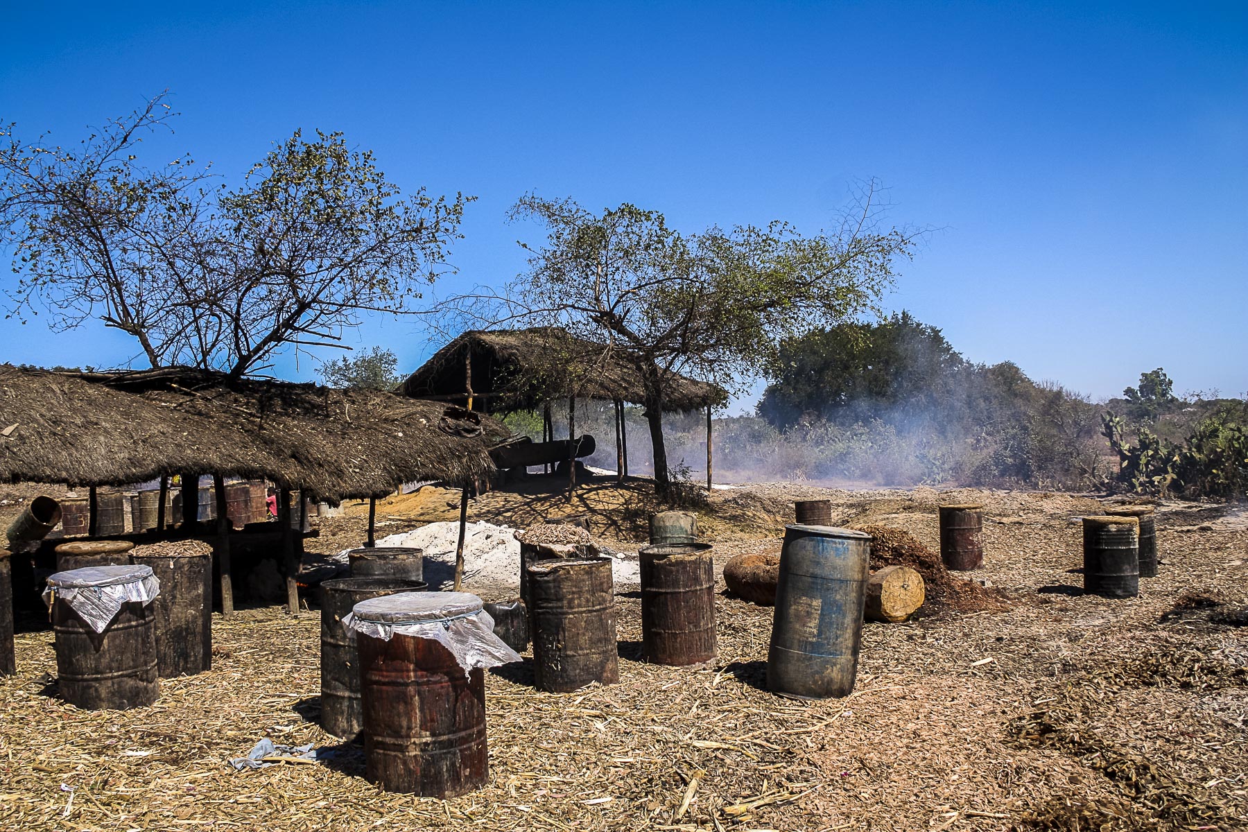 distillery madagascar