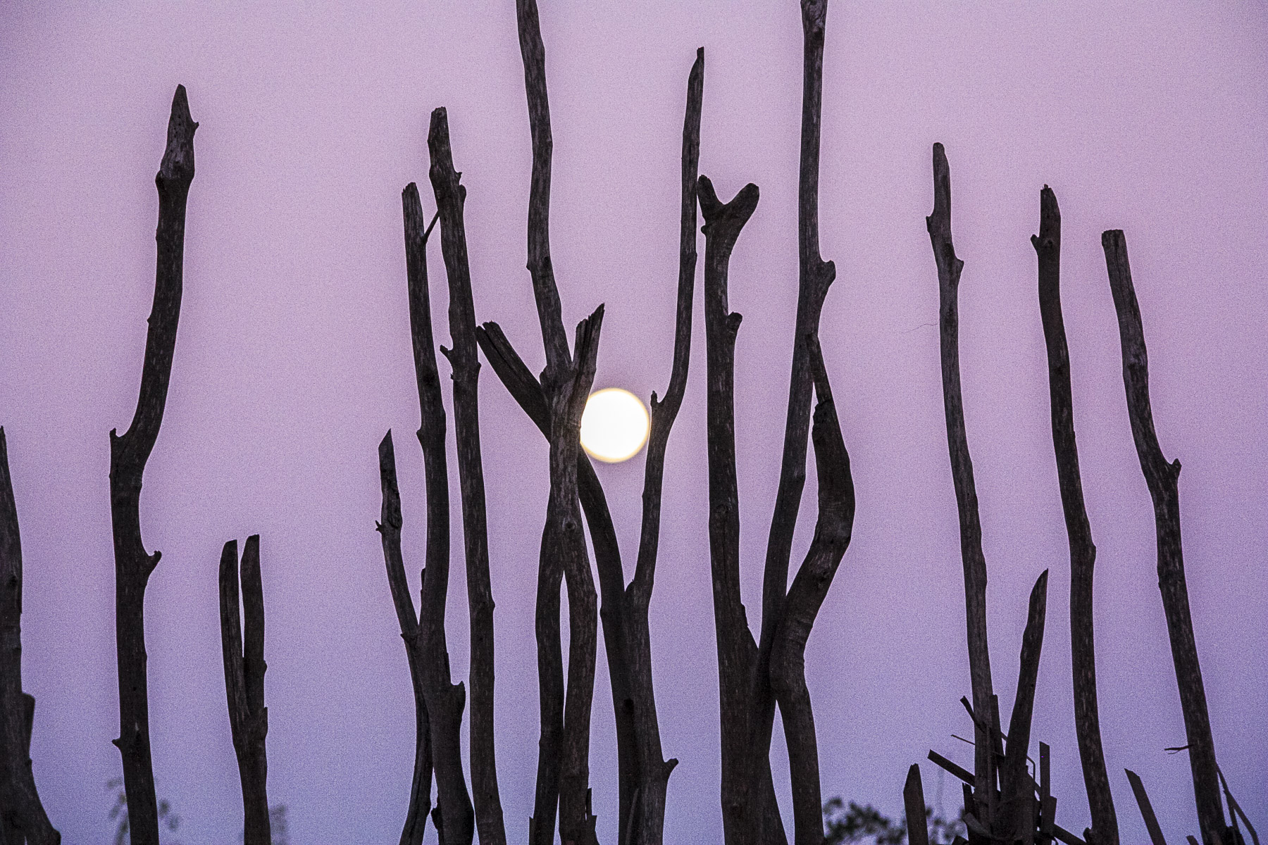 sunset pink west coast Madagascar