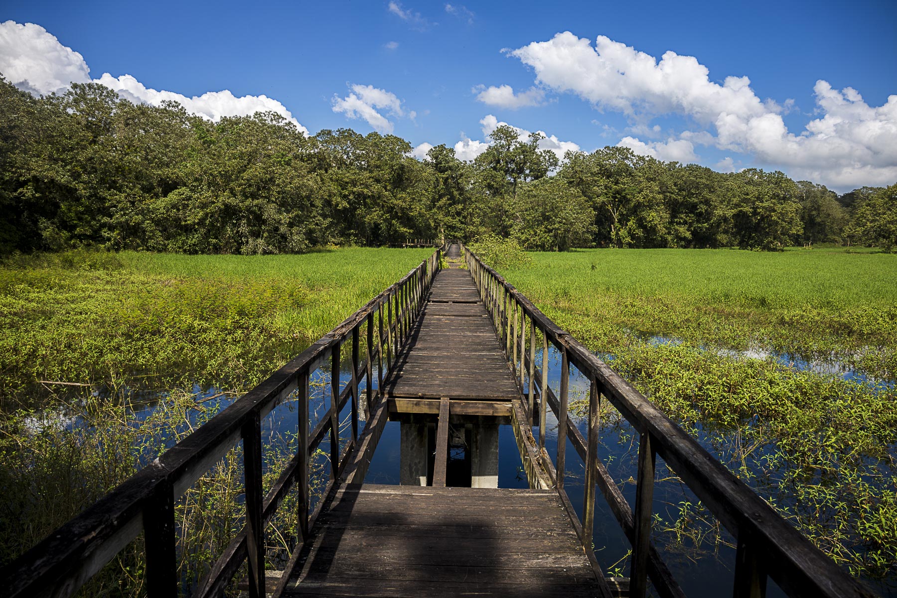 wooden pathway Honduras park