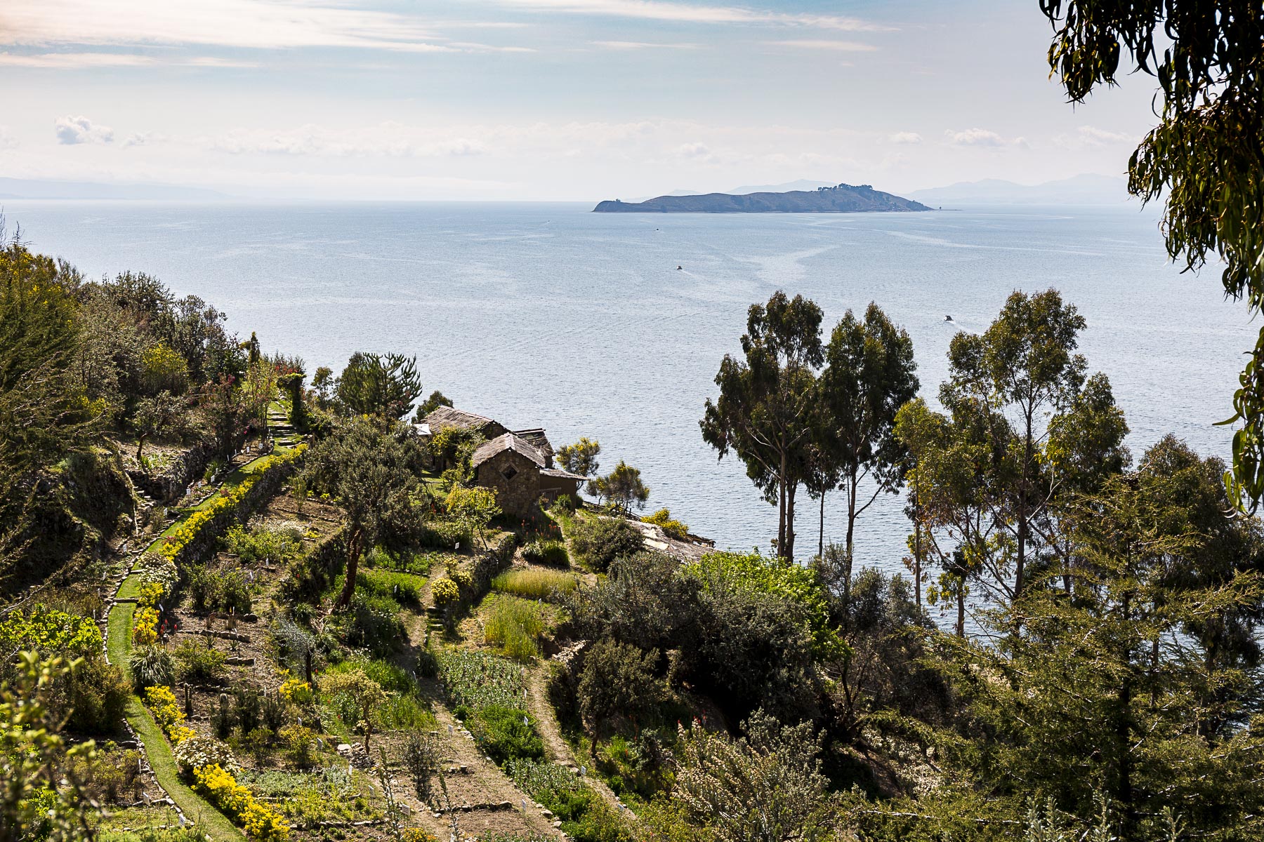 lake titikaka Bolivia