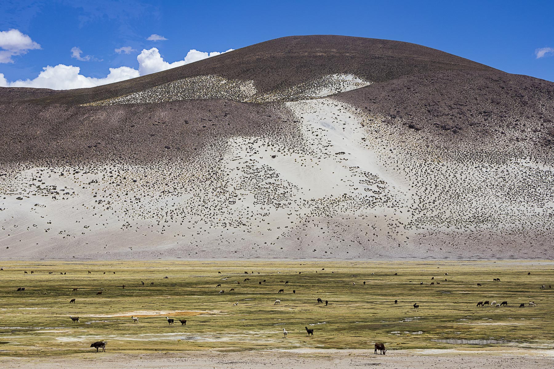 Bolivia landscape mountain
