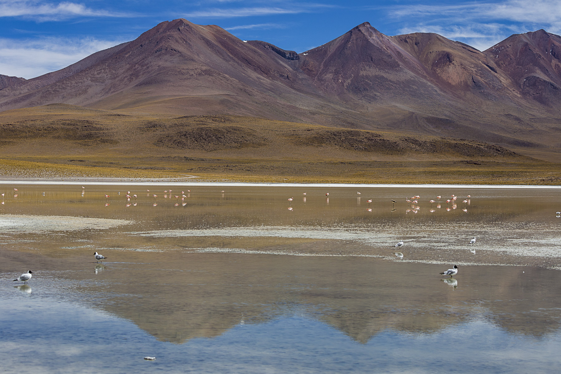 Bolivia reflection landscape