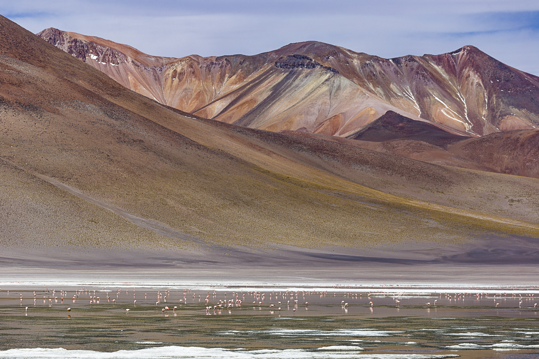 landscape red Bolivia
